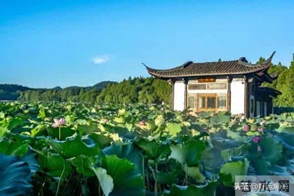 老了才活明白,最幸福的老人都有这3个“怪癖”占一个就乐吧