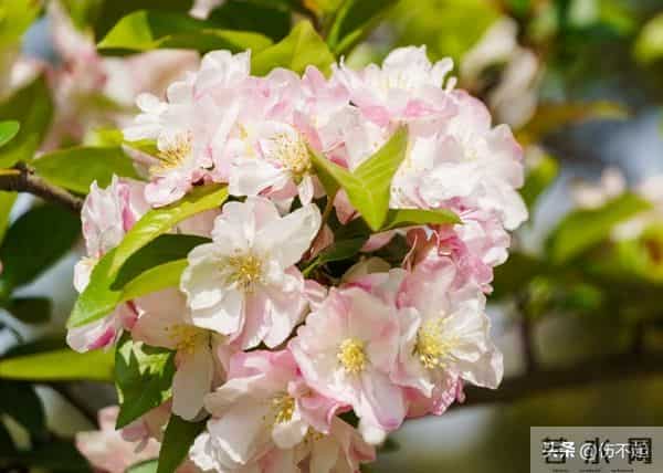 女人主动“勾”你时，不会说“我喜欢你”，却常说这5句话