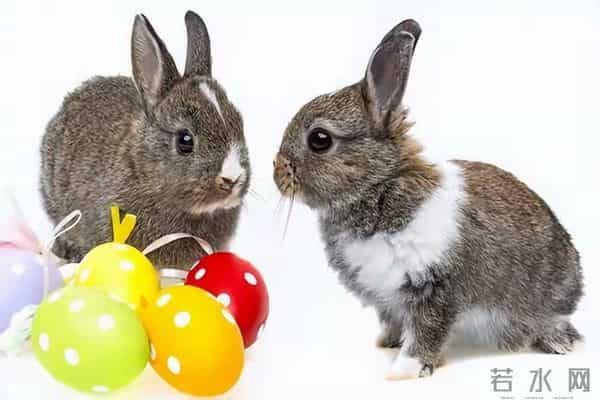 属兔人别划走！最难的坎已过，3招接住顺境