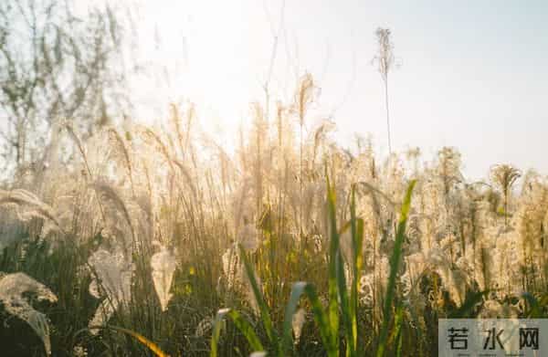 别慌!你天生带财,好运马上来!