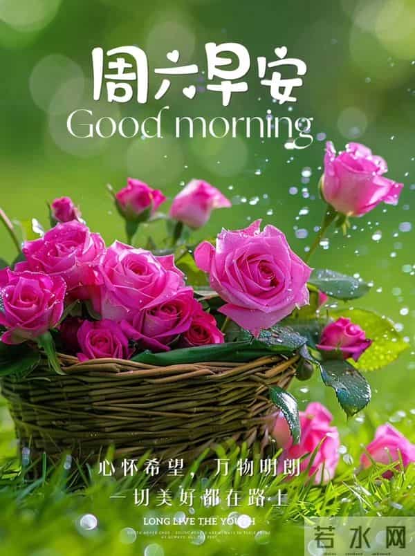 2025年12月6日早上好 早安周六愉快 早安温馨祝福语 早安精美美图
