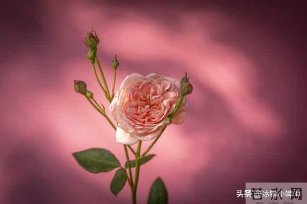 男女相处，女人对你有这5个“小心机”，其实是暗恋你的信号