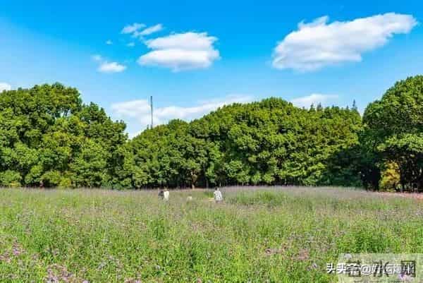 老了才活明白，最幸福的老人都有这3个“怪癖”占一个就乐吧