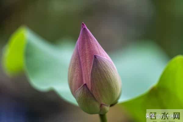 爱自己，还是自己终极的修行，活通透了，万物皆是风景