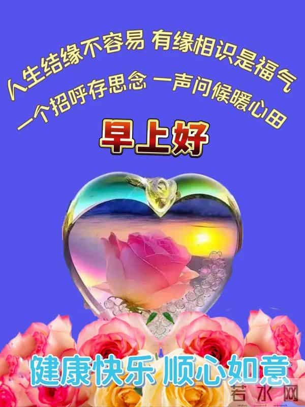 2025 年 12 月 5 日周五早安 冬日暖图寄问候 愿你今日舒心 万事顺意