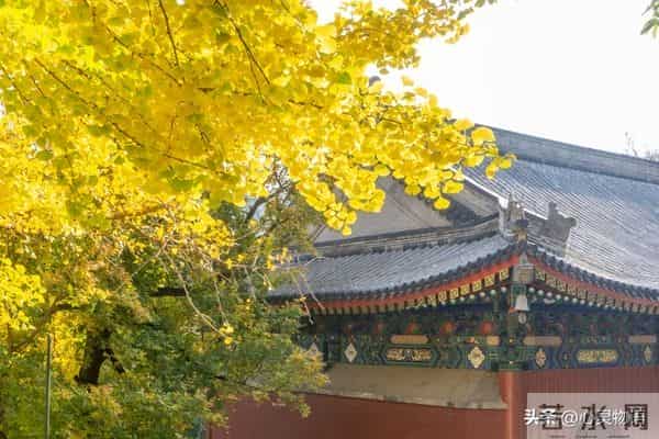 异性之间,偷偷做过这些事,就是彼此动了情