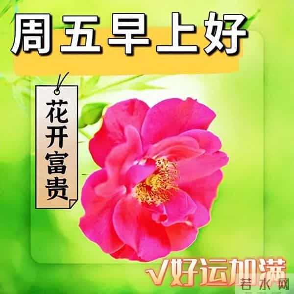 最新漂亮早上好问候图片,每天清晨激励语,愿你健康如意幸福安康