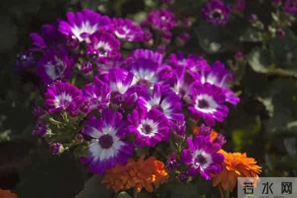 我妈刚下葬,大姐就摊开账本:“你们欠我8万,今天必须结清”