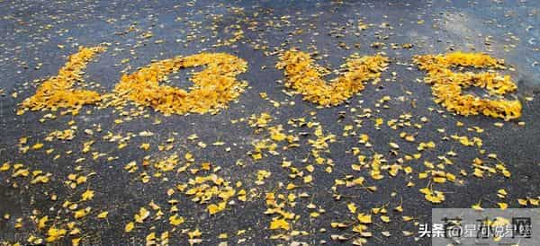 最舍不得天秤座的星座