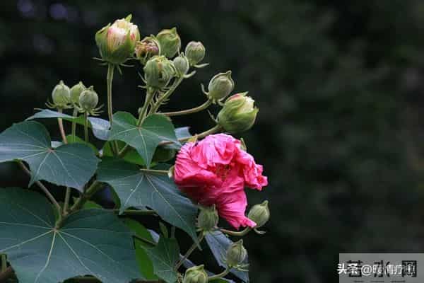 老了才明白-独来独往,没有朋友的人,往往具备这些优秀品质