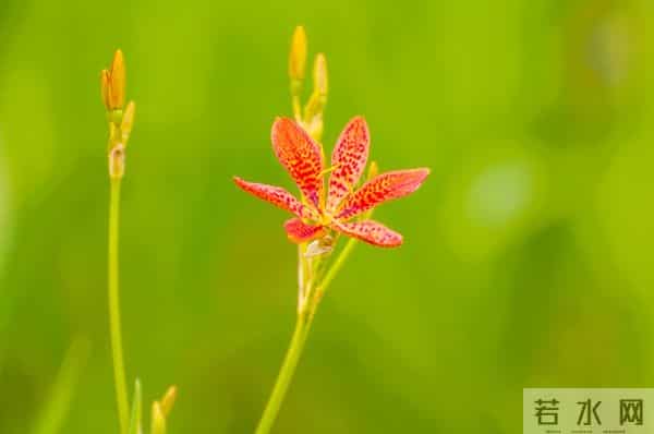 2026所有预言都指向一件事