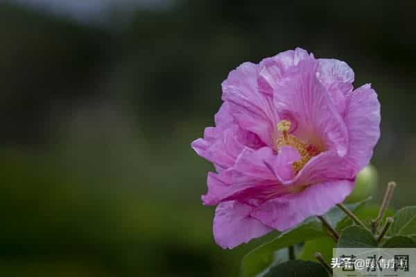 老了才明白-独来独往,没有朋友的人,往往具备这些优秀品质