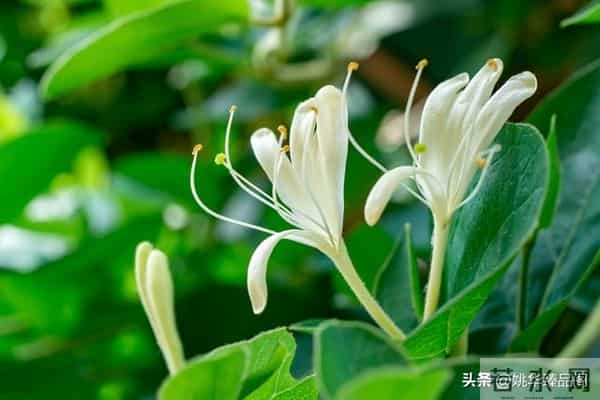 从因果定律告诉你,不要去可怜任何人,因为他们不值得