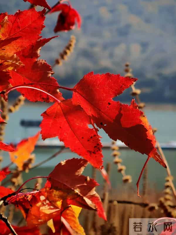 好久没有这样哭过,今夜就让我泪流成河