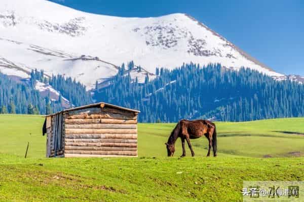 两性关系:婚姻无糖时,学会“婚内单身”是最高级的自救