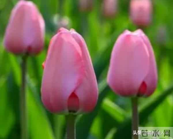 人性真相:女人问的2个问题,其实是在“倒追”你(男人别傻等)