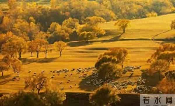 晚年,不管儿女待你好不好,牢记这3句话,你就赢了。