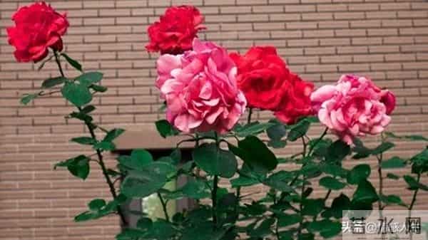 “撩”中年女人，用这三个方式“试探”，若及时回应，便是愿意