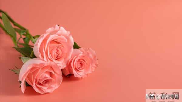 一个男人疯狂的爱上了你,这三种表现是藏不住的,遇到要好好珍惜