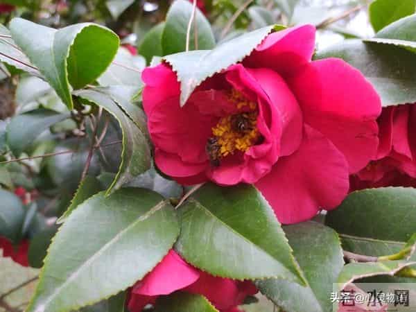 女人爱不爱你，根本不用试探！看这2点，准确率99%