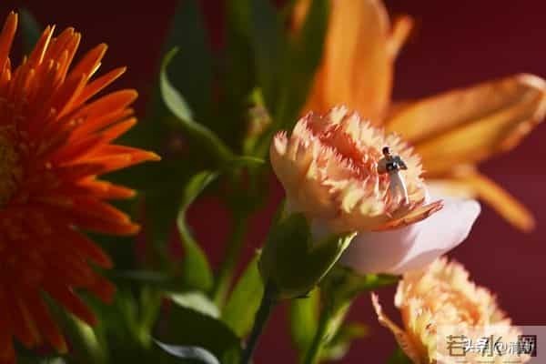 夫妻到了七十岁，还能同居，只有三种情况
