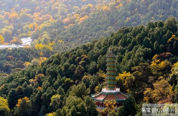 异性之间,偷偷做过这些事,就是彼此动了情