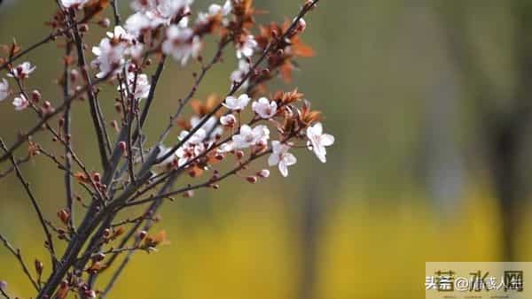 女人被你“搞定”后，藏不住的信号：不是主动，而是“不拒绝”