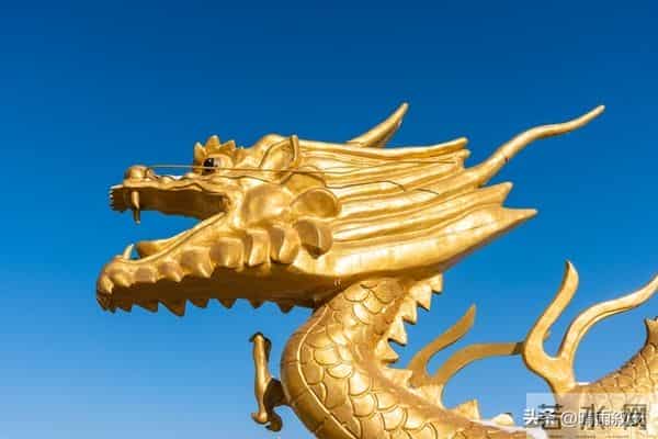 生肖龙留意!未来7天两大生活馈赠来袭,每份都藏着你的过往付出