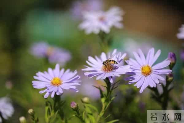 人生下半场，拼的不是财富，而是“1”和“0”