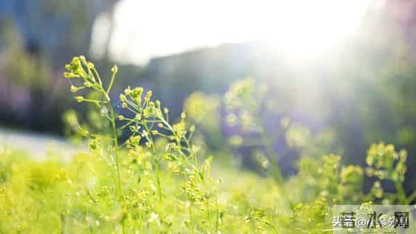 女人退休发现老伴外面有人，没哭闹背包走出，2年后老伴心梗过世