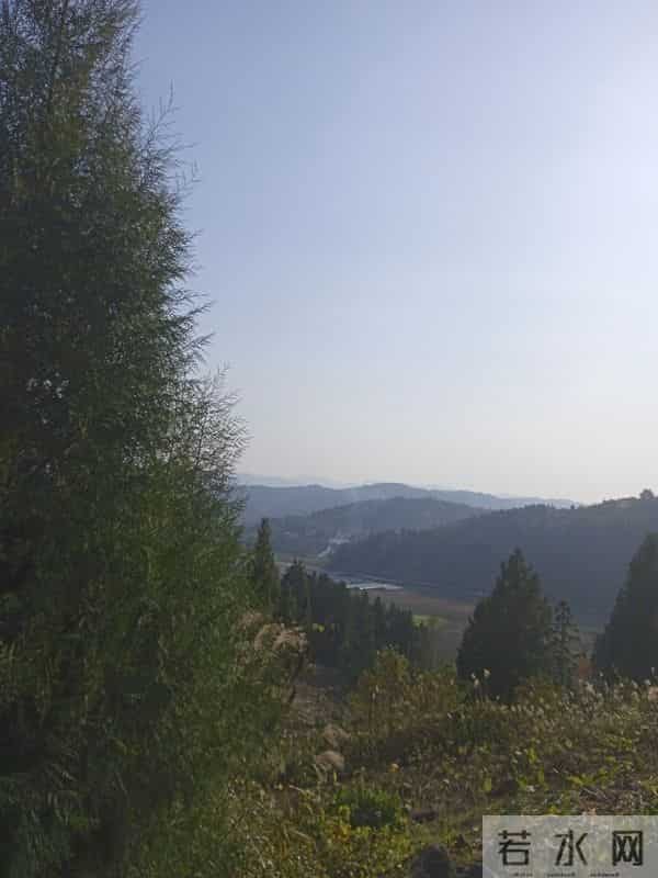 一个人的独居生活，想脱离世俗，却摆脱不了世俗的偏见