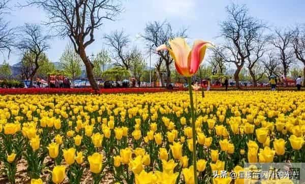 守住人生底线，别让善良被透支，被别人标准左右，你真活得自由吗