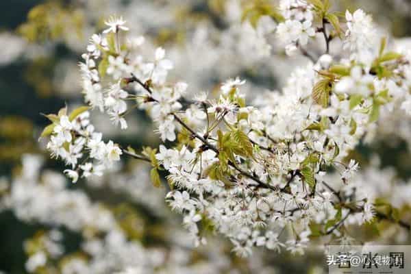 经历两次离婚,我明白了-所有夫妻关系的破裂,都始于同一个错误