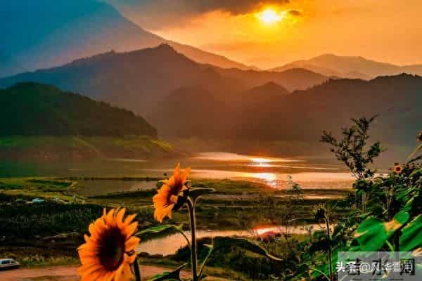 从今日起，您将霉运清零，余生皆顺