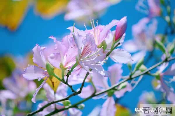 从因果定律告诉你,不要去可怜任何人,因为他们不值得