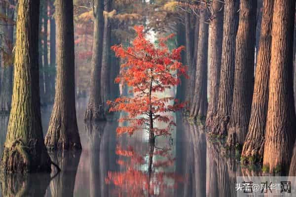 从今日起，您将霉运清零，余生皆顺