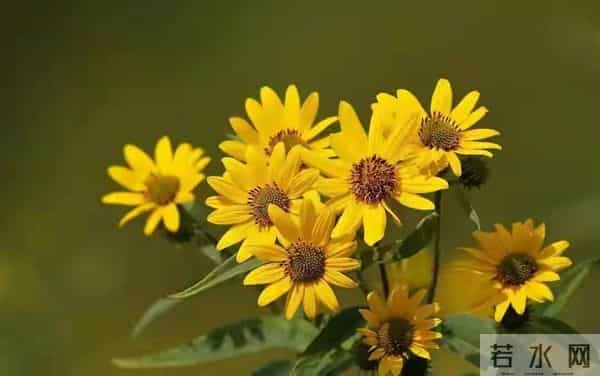 两性关系，50岁后，女人愿意被你抱，说明这几个心理防线已崩溃