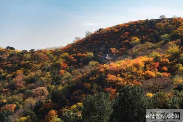 异性之间,偷偷做过这些事,就是彼此动了情