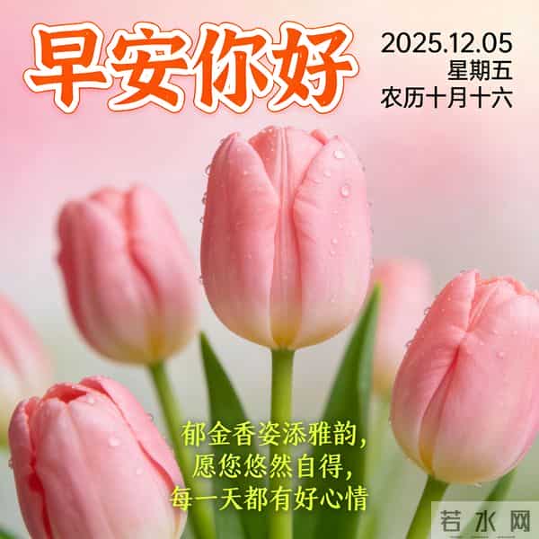 2025.12.05 早安祝福 围巾手套御寒风 亲友叮咛情意暖 早安幸福万年长