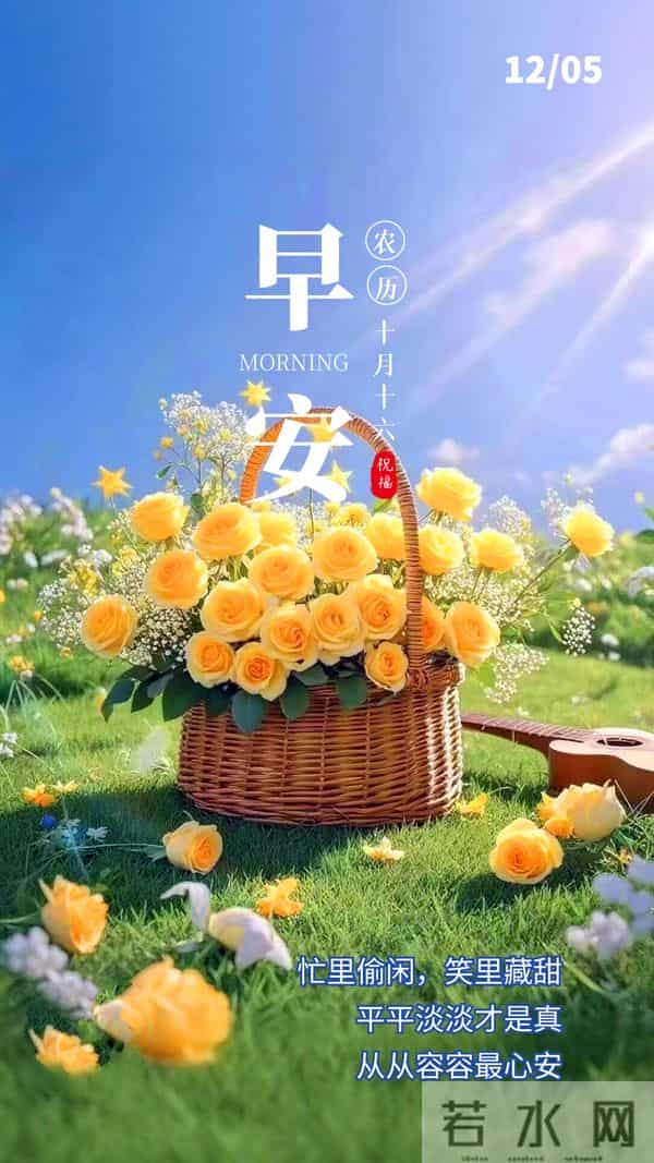 「2025.12.05」早安心语，不谈从前种种 不说如果当初 希望越来越好