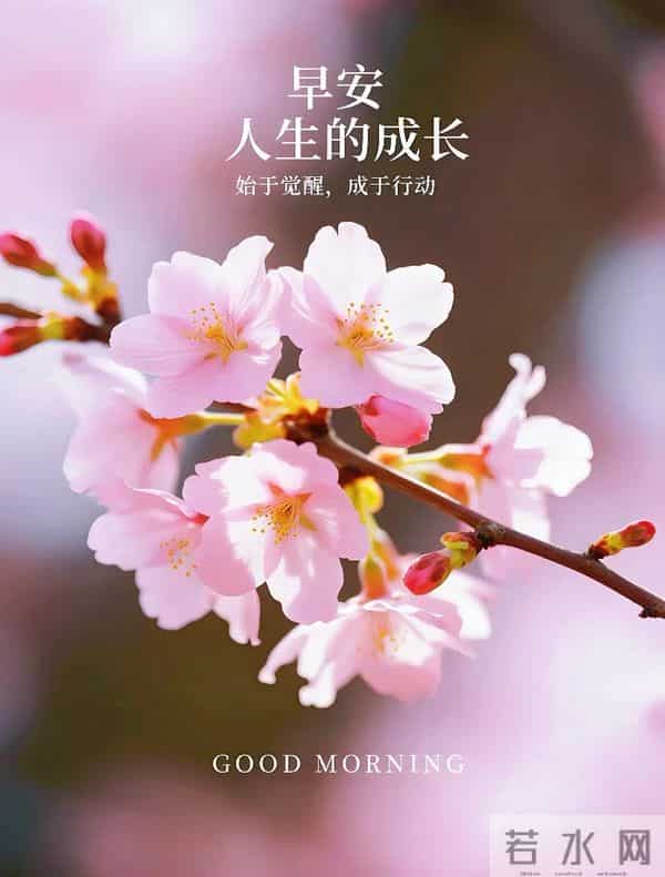 「2025.12.05」今日唯美早安祝福图片问候，温馨早上好祝福语