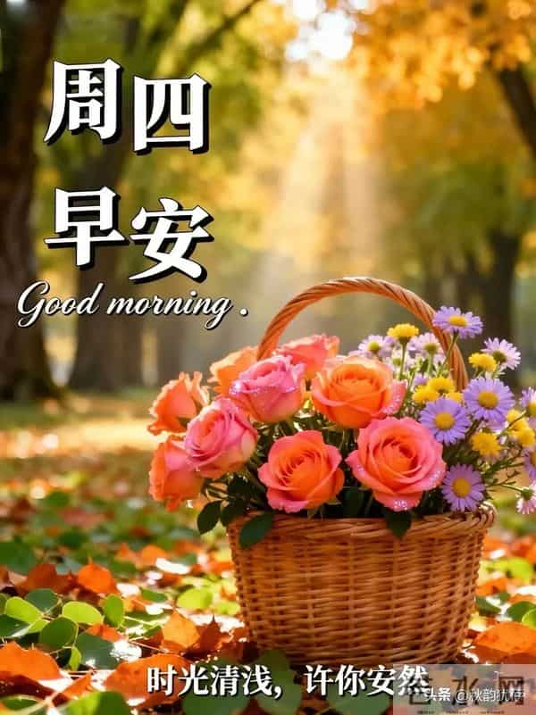 早安，凡是过往皆是序章，所有将来皆为可盼。