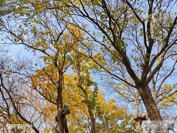 那些因至亲之人离世而产生的悲伤,难以消除但可以转化成其他能量