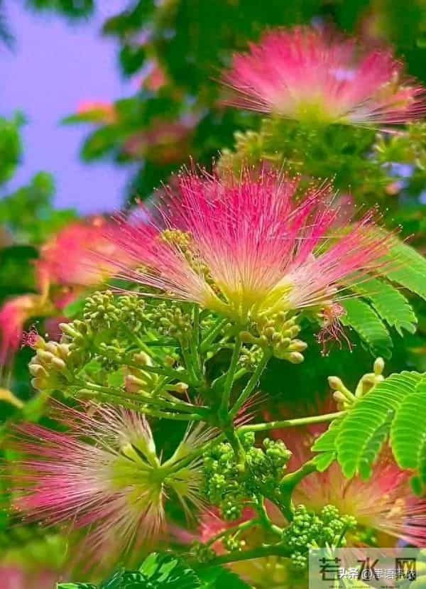 情感:女人过中年,最渴望的“肉麻”行为竟然是这些!