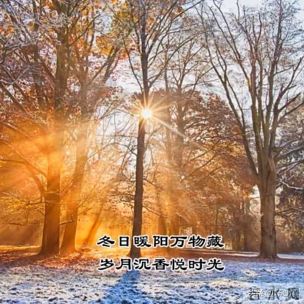 冬天可以发很久的朋友圈文案