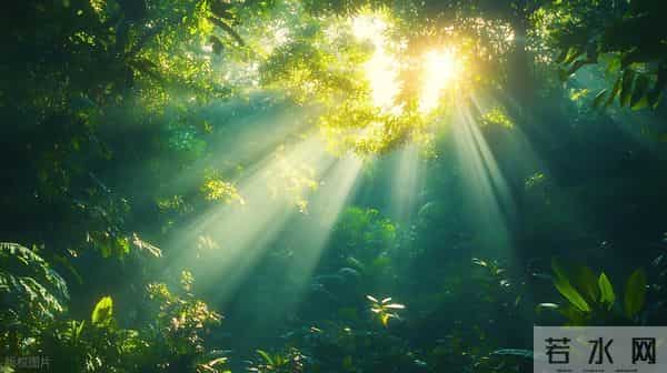 《情绪使命》觉醒连载 · 第2期·情绪,是能量的“呼和吸”