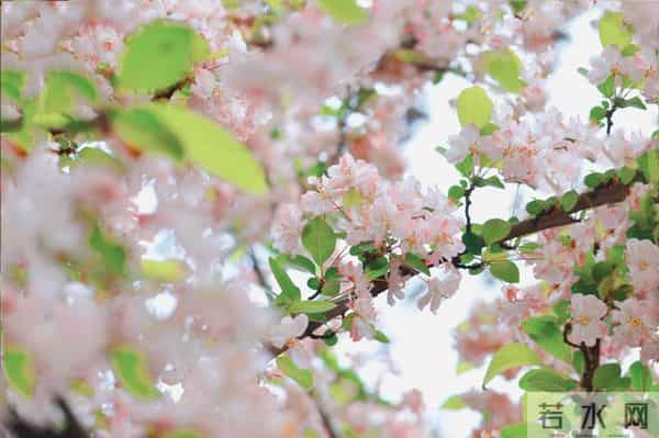 相思入骨,半生沉沦皆是你