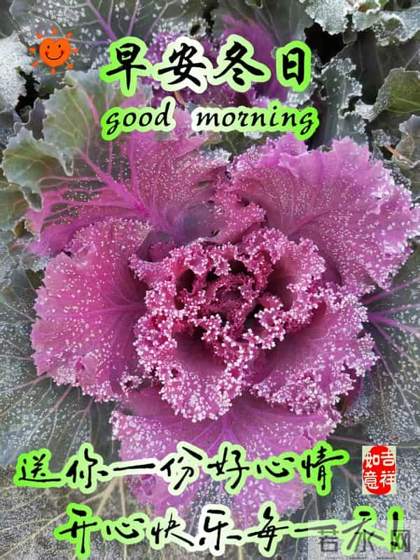 早安朋友！美好的一天，送你一份好心情