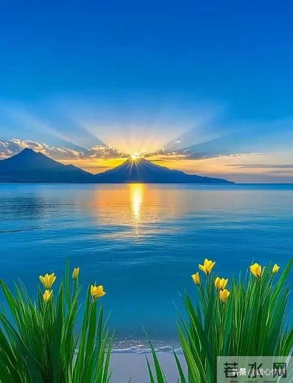 两性关系,多数女人过了60岁,还在渴望的4种陪伴,你知道几种?