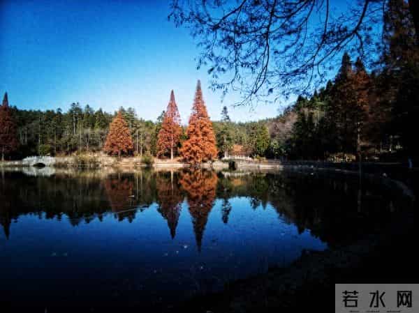 20句“人间清醒”语录:读完心静了,万事皆可安